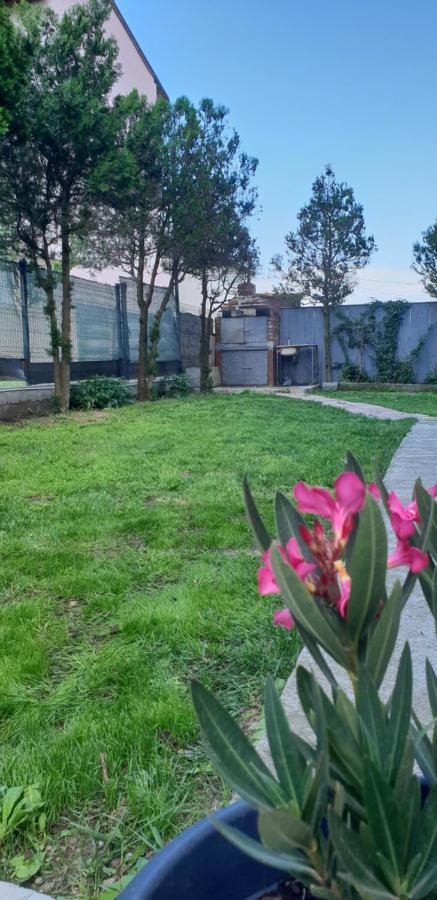 Pensiunea Andra Costinesti Exterior photo